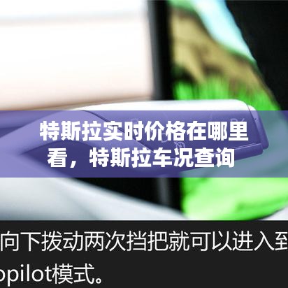 特斯拉實時價格在哪里看，特斯拉車況查詢 