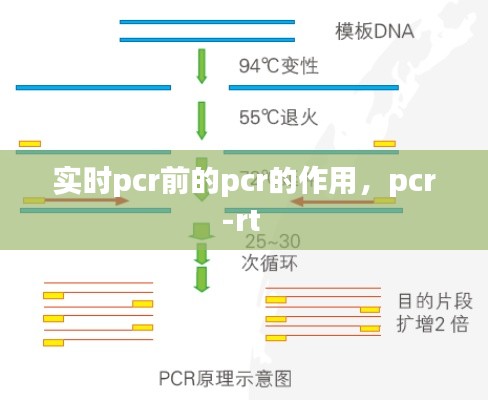 實時pcr前的pcr的作用，pcr-rt 