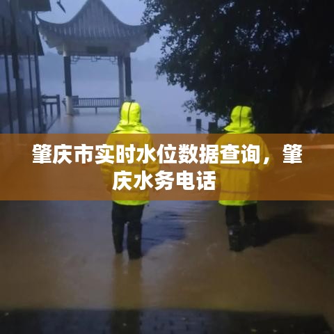 肇慶市實時水位數(shù)據(jù)查詢，肇慶水務(wù)電話 