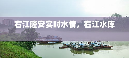 右江隆安實時水情，右江水庫 