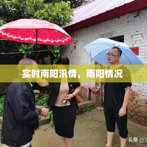 實時南陽汛情，南陽情況 