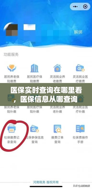 醫(yī)保實(shí)時(shí)查詢?cè)谀睦锟?，醫(yī)保信息從哪查詢 