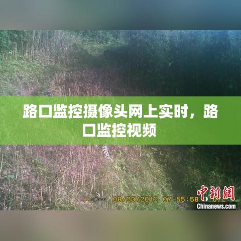 路口監(jiān)控?cái)z像頭網(wǎng)上實(shí)時(shí)，路口監(jiān)控視頻 