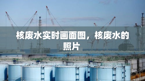 核廢水實(shí)時(shí)畫(huà)面圖，核廢水的照片 