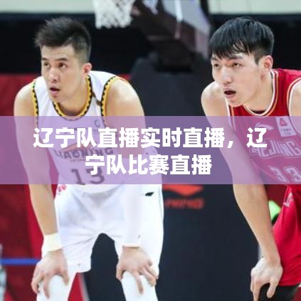 遼寧隊(duì)直播實(shí)時(shí)直播，遼寧隊(duì)比賽直播 