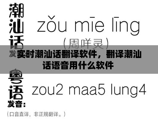 實時潮汕話翻譯軟件，翻譯潮汕話語音用什么軟件 