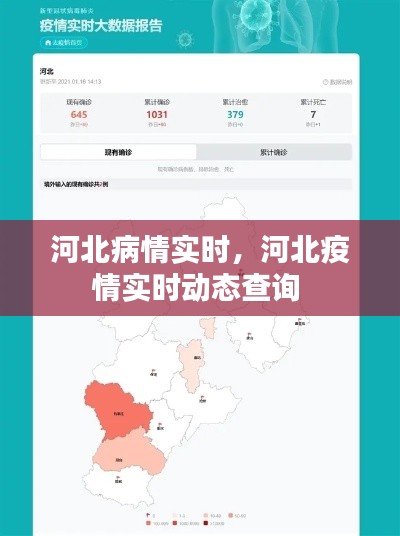 河北病情實(shí)時，河北疫情實(shí)時動態(tài)查詢 