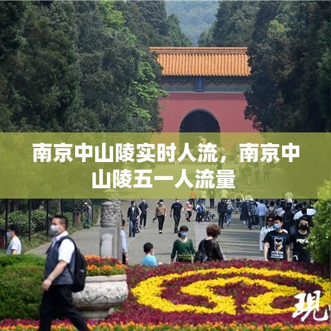 南京中山陵實時人流，南京中山陵五一人流量 