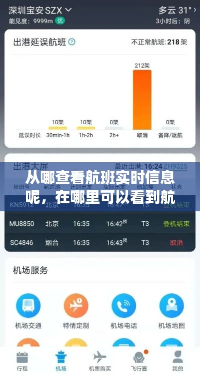 從哪查看航班實時信息呢，在哪里可以看到航班實時信息 