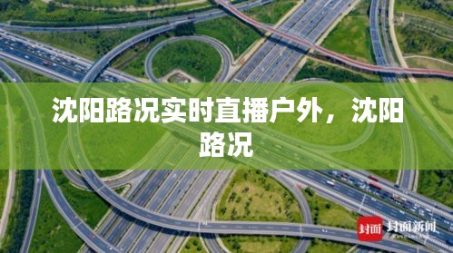 沈陽路況實(shí)時(shí)直播戶外，沈陽 路況 