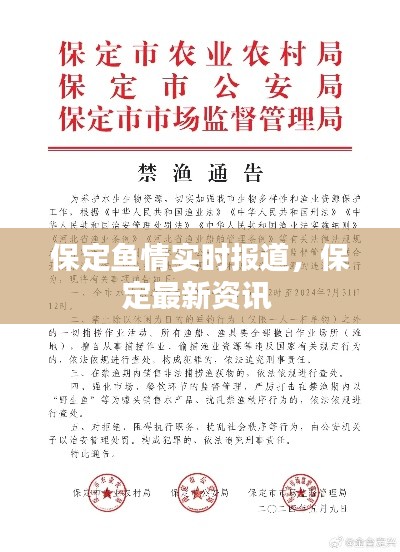 保定魚(yú)情實(shí)時(shí)報(bào)道，保定最新資訊 