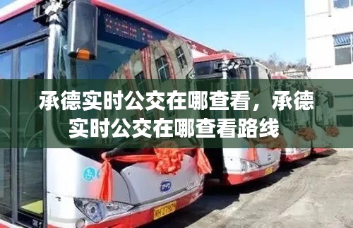 承德實時公交在哪查看，承德實時公交在哪查看路線 