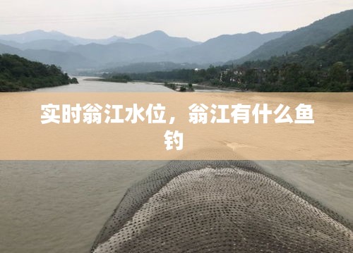實(shí)時(shí)翁江水位，翁江有什么魚釣 