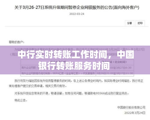 中行實(shí)時(shí)轉(zhuǎn)賬工作時(shí)間，中國(guó)銀行轉(zhuǎn)賬服務(wù)時(shí)間 
