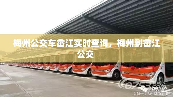 梅州公交車畬江實(shí)時查詢，梅州到畬江公交 