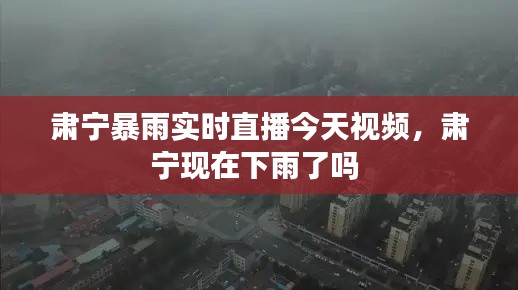 鋪張揚(yáng)厲 第2頁(yè)