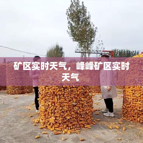 礦區(qū)實(shí)時天氣，峰峰礦區(qū)實(shí)時天氣 