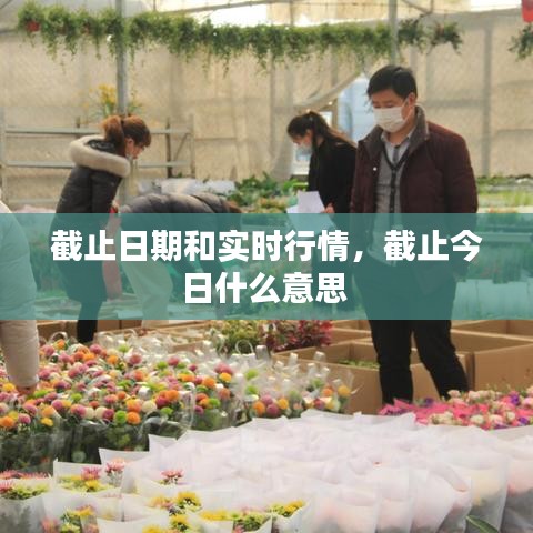 截止日期和實時行情，截止今日什么意思 