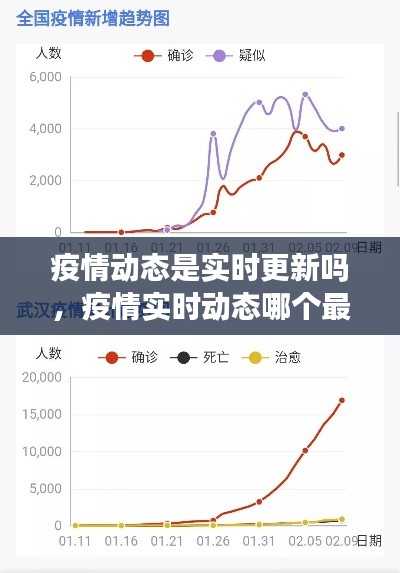 疫情動態(tài)是實時更新嗎，疫情實時動態(tài)哪個最準 