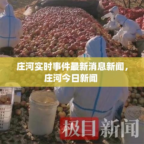 莊河實時事件最新消息新聞，莊河今日新聞 