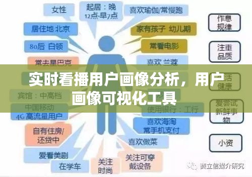 實時看播用戶畫像分析，用戶畫像可視化工具 