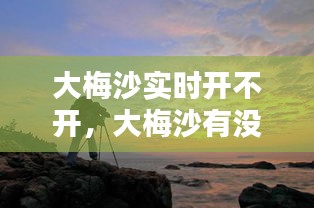 大梅沙實(shí)時(shí)開(kāi)不開(kāi)，大梅沙有沒(méi)有開(kāi) 