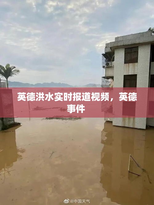 英德洪水實時報道視頻，英德事件 