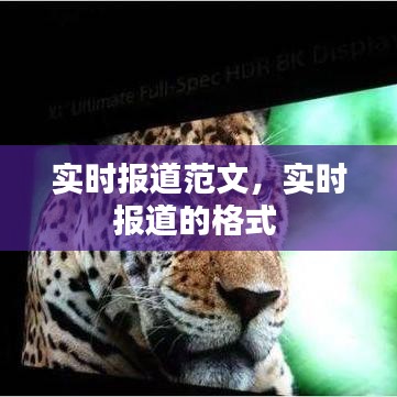 實(shí)時(shí)報(bào)道范文，實(shí)時(shí)報(bào)道的格式 