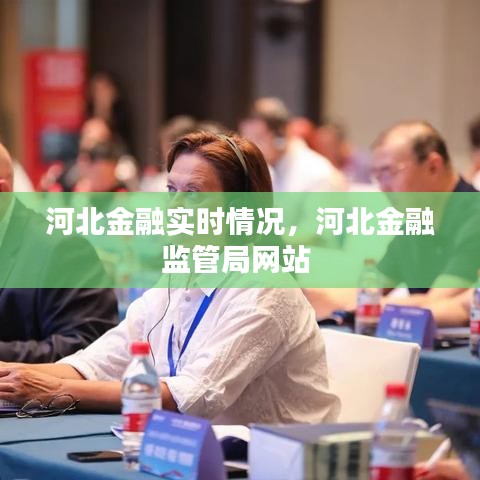 河北金融實時情況，河北金融監(jiān)管局網(wǎng)站 