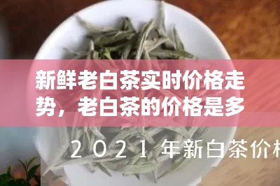 新鮮老白茶實(shí)時(shí)價(jià)格走勢(shì)，老白茶的價(jià)格是多少錢一斤 