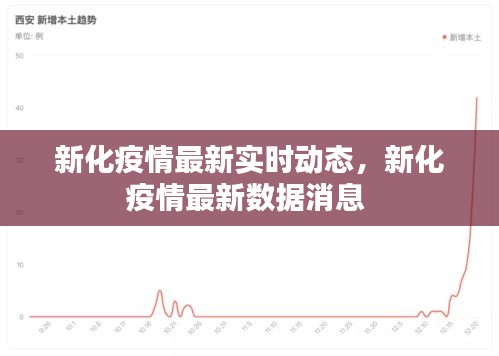 新化疫情最新實時動態(tài)，新化疫情最新數(shù)據(jù)消息 
