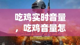 吃雞實(shí)時(shí)音量，吃雞音量怎么調(diào)整最好 