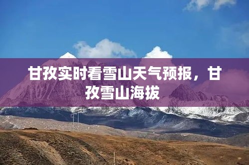 彬彬有禮