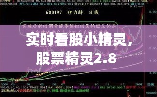 實(shí)時(shí)看股小精靈，股票精靈2.8 