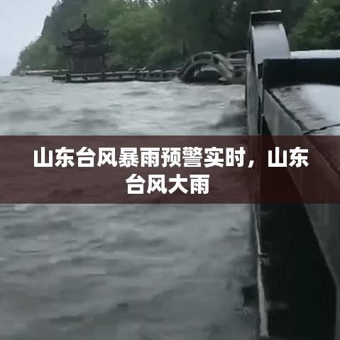 山東臺風暴雨預警實時，山東臺風大雨 