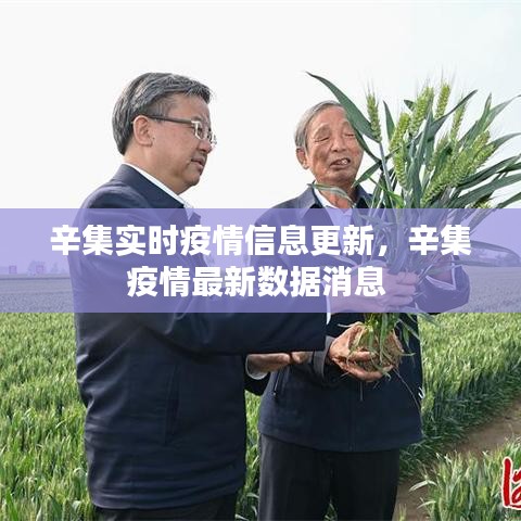 辛集實(shí)時(shí)疫情信息更新，辛集疫情最新數(shù)據(jù)消息 