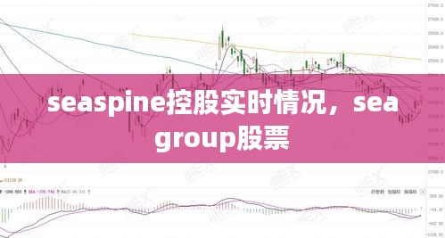 seaspine控股實時情況，sea group股票 