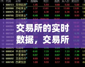 交易所的實(shí)時(shí)數(shù)據(jù)，交易所交易數(shù)據(jù) 