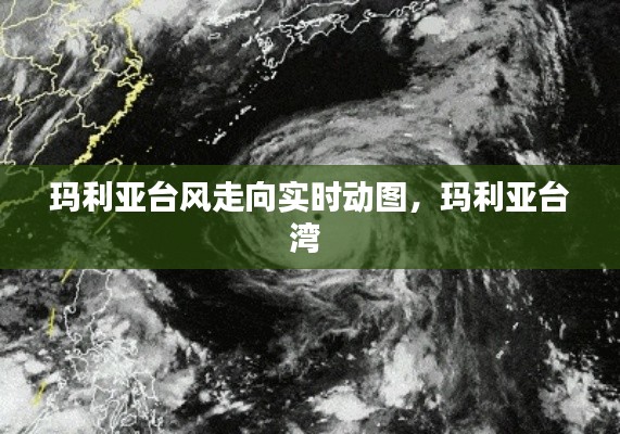 瑪利亞臺風走向實時動圖，瑪利亞臺灣 