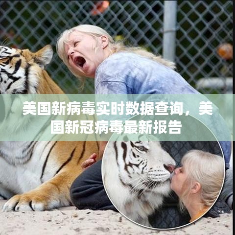 美國新病毒實時數(shù)據(jù)查詢，美國新冠病毒最新報告 