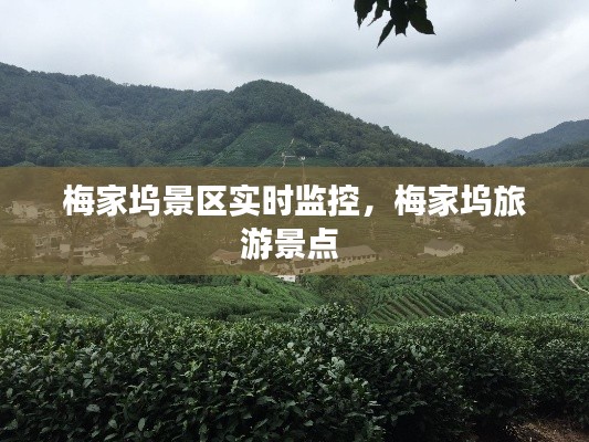 梅家塢景區(qū)實時監(jiān)控，梅家塢旅游景點 