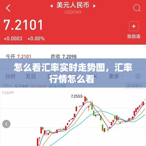 怎么看匯率實(shí)時(shí)走勢圖，匯率行情怎么看 