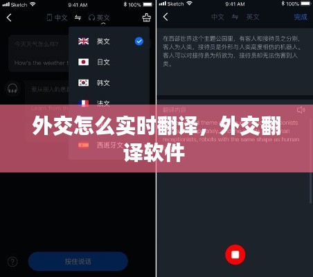 外交怎么實時翻譯，外交翻譯軟件 