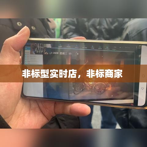 非標(biāo)型實(shí)時(shí)店，非標(biāo)商家 