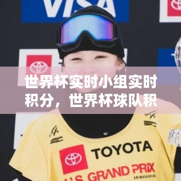 世界杯實時小組實時積分，世界杯球隊積分 