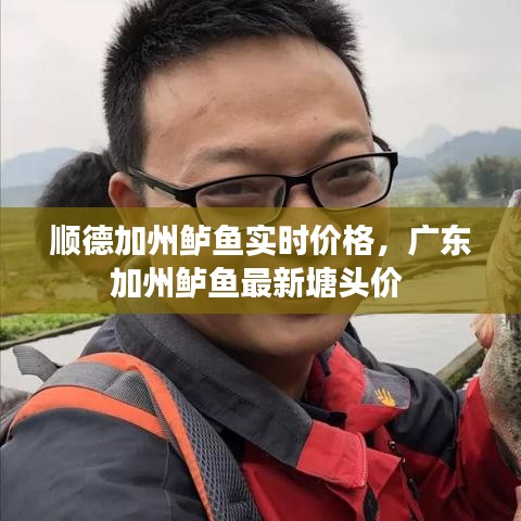 順德加州鱸魚(yú)實(shí)時(shí)價(jià)格，廣東加州鱸魚(yú)最新塘頭價(jià) 