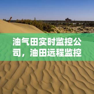 油氣田實(shí)時(shí)監(jiān)控公司，油田遠(yuǎn)程監(jiān)控系統(tǒng) 