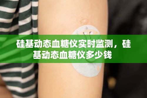 硅基動態(tài)血糖儀實時監(jiān)測，硅基動態(tài)血糖儀多少錢 