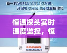恒溫探頭實(shí)時(shí)溫度監(jiān)控，恒溫檢測(cè) 