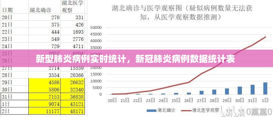 新型肺炎病例實(shí)時(shí)統(tǒng)計(jì)，新冠肺炎病例數(shù)據(jù)統(tǒng)計(jì)表 